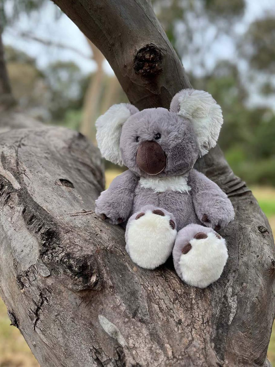 Furfolk Koala