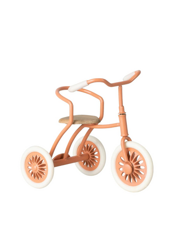 Abri A Tricycle For Mouse Coral