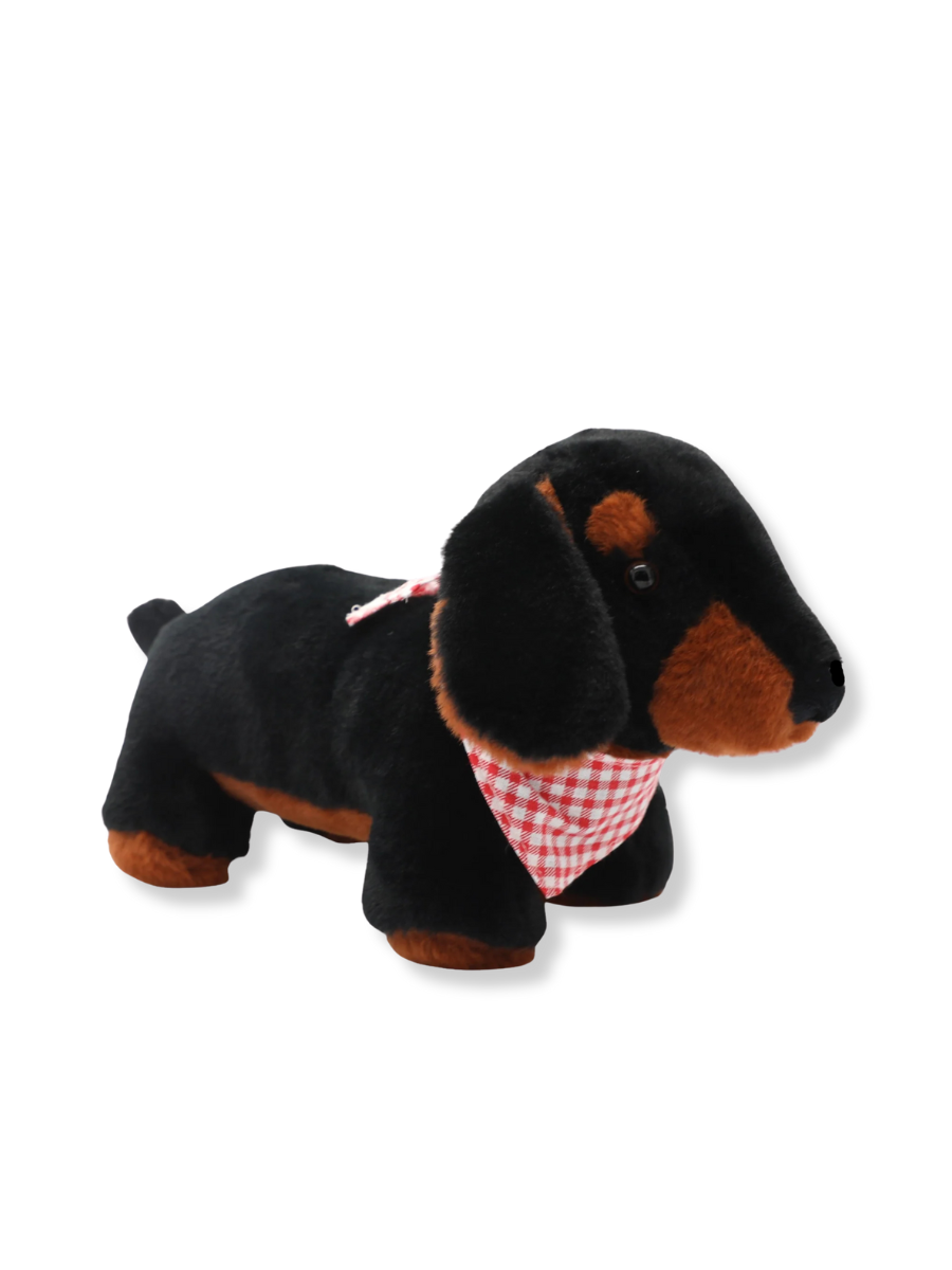 Hunter The Dachshund